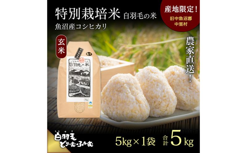 【通年受付】≪令和6年産≫　農家直送！魚沼産コシヒカリ特別栽培「白羽毛の米」玄米(5kg×1袋) 5kg