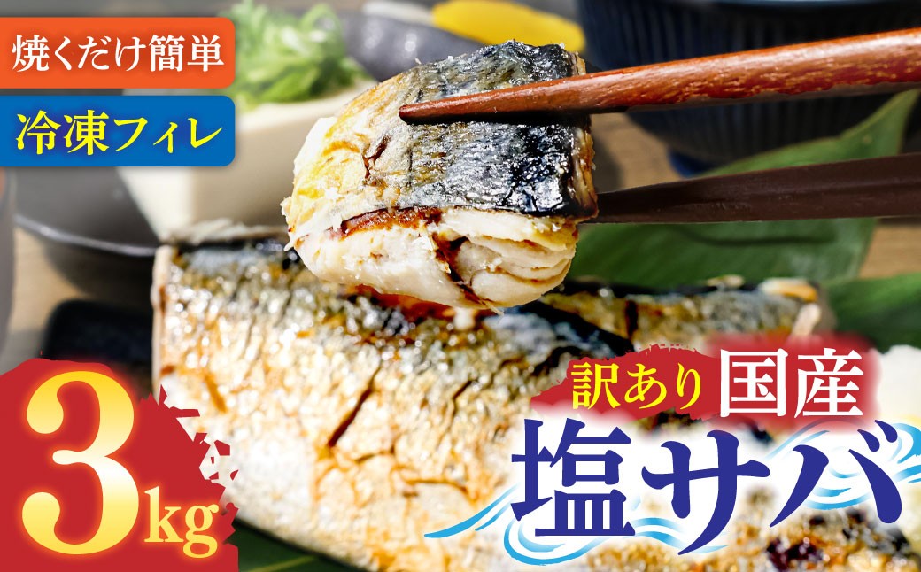 
                  訳あり 塩サバ 3kg 約18枚 さば 国産 冷凍 鯖 味付き 大きい フィーレ 切り身 魚介 海鮮 魚 おかず お弁当 ご飯 食品 保存食 簡単 高知【R01426】
                