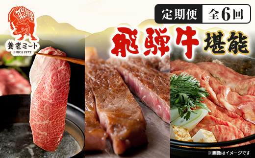 【毎月定期便】月替わりで色々な飛騨牛を楽しめる全6回【配送不可地域：離島】
