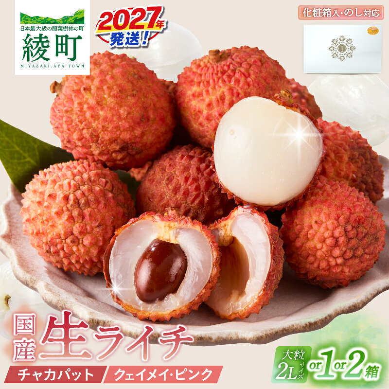 【ふるさと納税】先行予約 《選べる内容量》 数量限定 希少 国産 綾 生ライチ 化粧箱入り 大粒 果物 フルーツ くだもの 国産ライチ 2027年 トロピカルフルーツ 南国フルーツ 冷蔵 ジューシー 高級 デザート ギフト 贈り物 プレゼント ご褒美 宮崎県 送料無料 【JA綾町】
