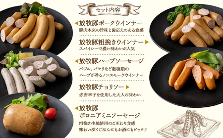 「北海道産放牧豚 無添加ウインナーセット」とトモヱベーグル「北の麦輪」10個セット【C99029】