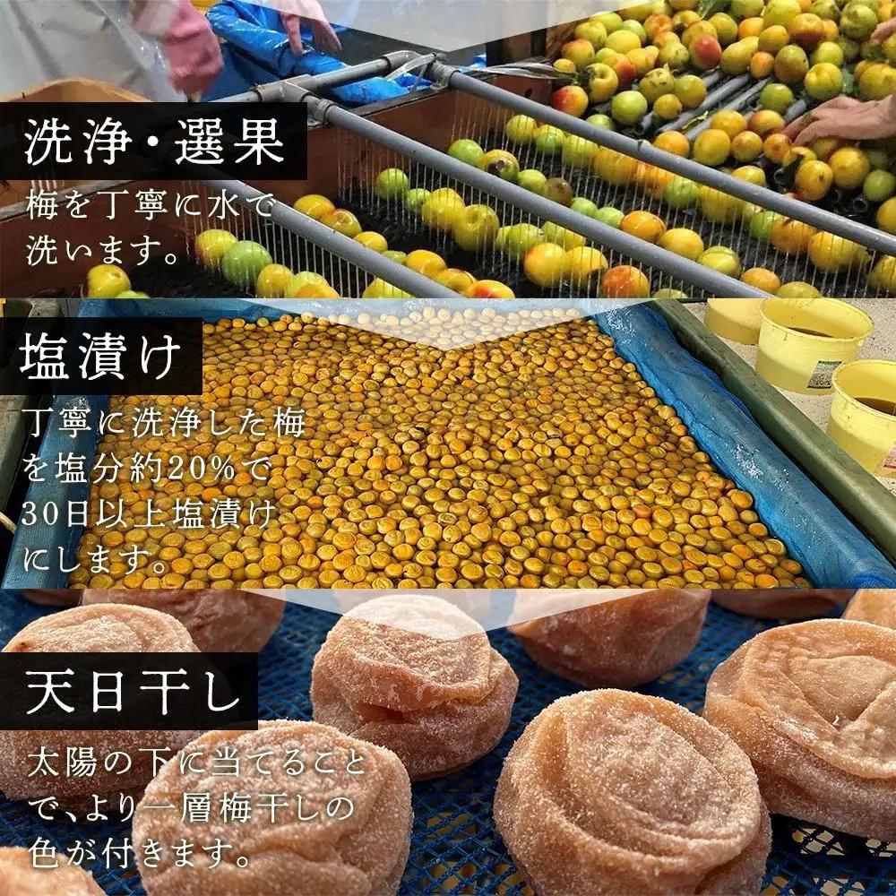 紀州南高梅使用 はちみつ うす塩味 完熟梅干し 無選別 1kg［TM144］