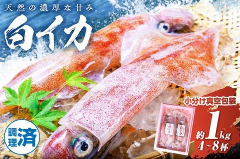 【水産事業者支援】【海鮮の匠　魚政】BBQに最適！　白イカ（ケンサキイカ）　調理済み　正味1K入り（4～8匹）　※小分け真空包装 水産事業者支援　UO01058