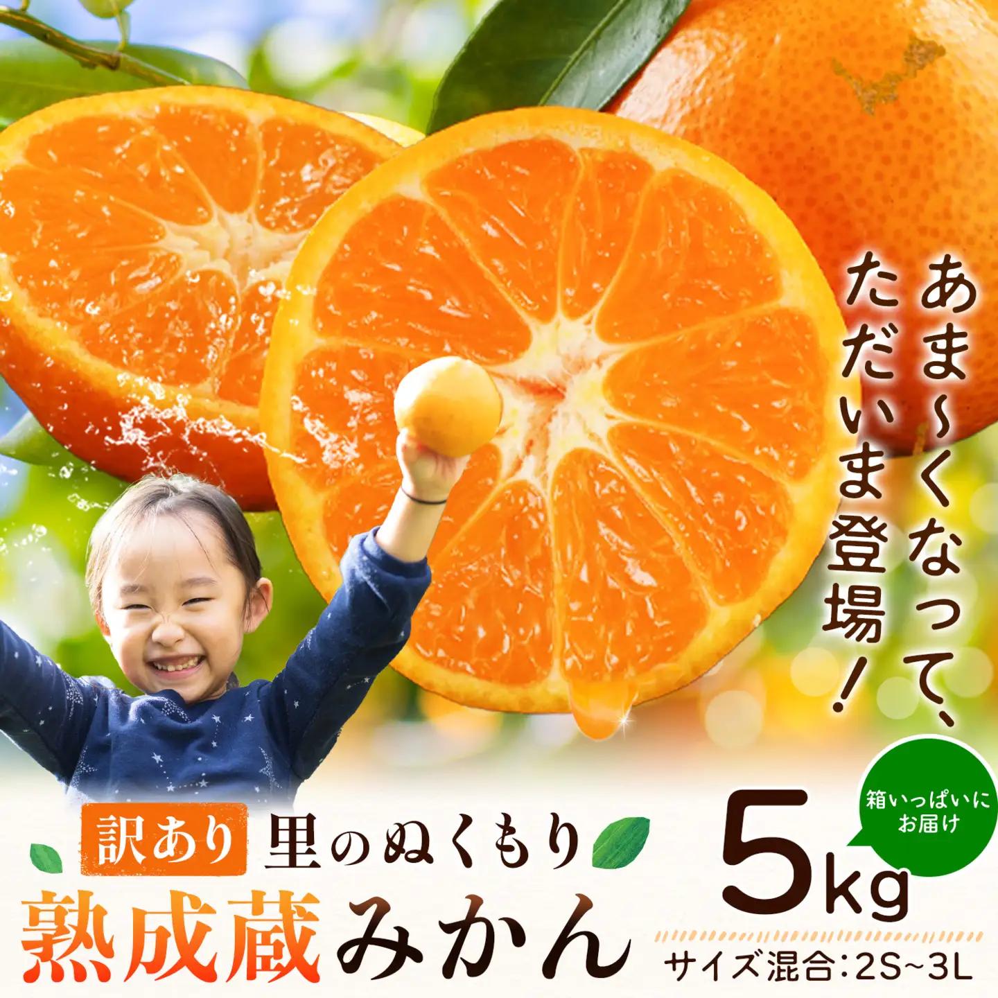 ご家庭用 熟成みかん 5kg 先行予約 みかん 