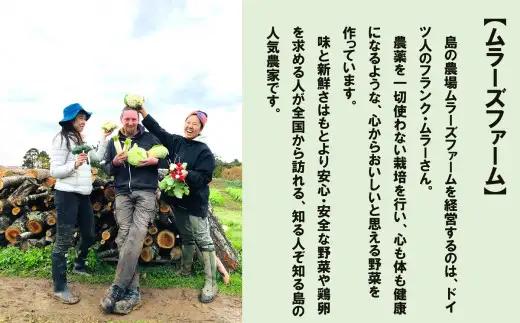 海士町産 じゃがいも 5㎏ 有機野菜 オーガニック
