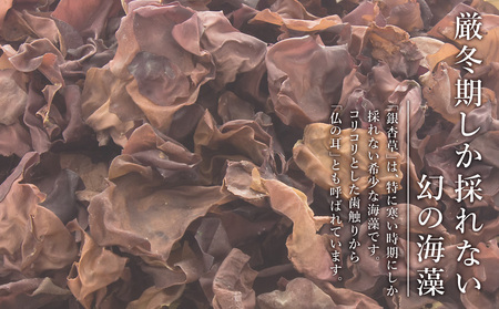 おらいの利尻海藻 銀杏草 7g×3袋《昆布屋神兵衛》