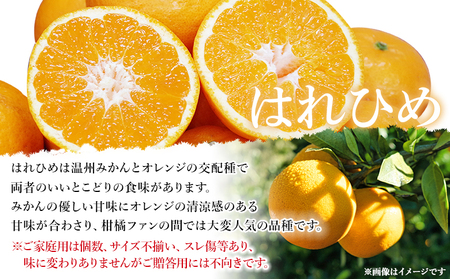 ＜愛媛県西予市産 はれひめ ご家庭用 約4kg＞ 訳あり ワケアリ 不揃い 果物 くだもの フルーツ みかん ミカン 蜜柑 柑橘 オレンジ おれんじ ハレヒメ 食べて応援 特産品 宇都宮物産 愛媛県 