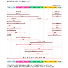 【2025年2月より順次発送】 定期便！ 偶数月発送 南国土佐の新鮮お野菜詰め合わせ (6～7品目 年6回】