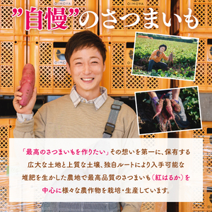 【日本さつまいもサミット2025-26　ファーマーズ・オブ・ザ・イヤー受賞】冷凍 壺焼き芋 紅はるか3kg（500g×6）（IN-13)