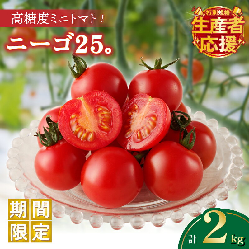 【ふるさと納税】生産者応援！！【期間・数量限定特別規格】高糖度ミニトマト『ニーゴ25。』(計2kg) とまと 野菜 サラダ 国産 フルーツトマト 新鮮 お土産 産地直送 甘い 濃厚 パリッと食感 おやつ おすすめ リコピン お取り寄せ グルメ 宮崎県 都農町 送料無料