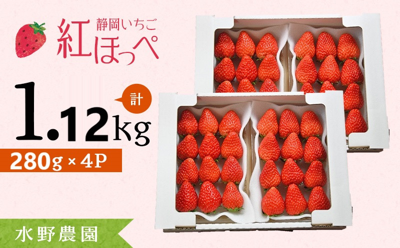 
６２７３　いちご 掛川産 完熟いちご 紅ほっぺ 280g×４P 1.12ｋｇ (8～15粒入×4P) R7年１月中旬頃から順次発送 ①1月､②2月の中から発送時期をお選び下さい 水野農園 ( ミズノ農園 ）
