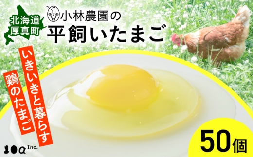 【常温配送】小林農園の平飼いたまご・無投薬 50個｜ 卵 鶏卵 玉子 生卵 有精卵 平飼い 北海道 [AXAN120]