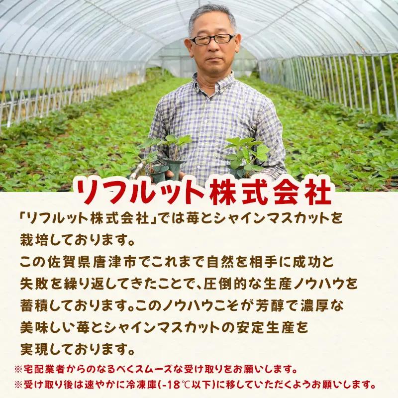 『先行予約』【令和9年3月より順次発送】唐津産 いちごさん 約250g×6パック(合計約1.5kg)
