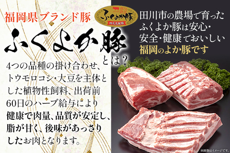 豚肉 ステーキ ふくよか豚 ステーキセット 1.2kg ロース 肩ロース ヒレ ロース肉 肩ロース肉 ヒレ肉 小分け ブタ肉 ぶた肉 とんかつ 冷凍 福岡県 福岡 九州 グルメ お取り寄せ