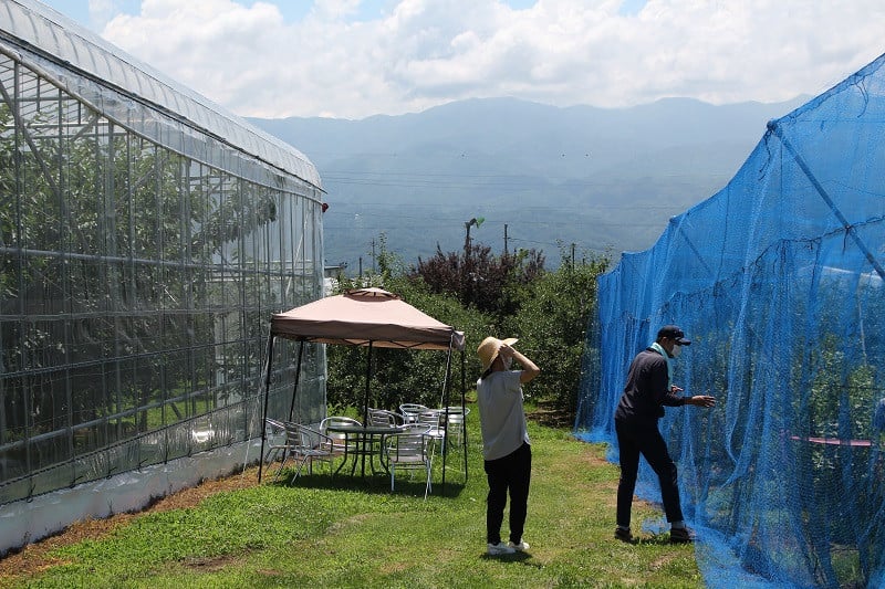 ネットで虫や鳥が入らないよう対策しています。