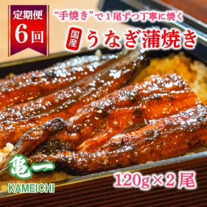 定期便 6ヶ月 国産 うなぎ 鰻 蒲焼 蒲焼き かば焼き120g 2本 うなぎ 土用 丑の日 老舗 亀一 うなぎ 特製 タレ 真空パック ひつまぶし うなぎ ギフト 贈答 冷凍 お取り寄せ うなぎ お祝い