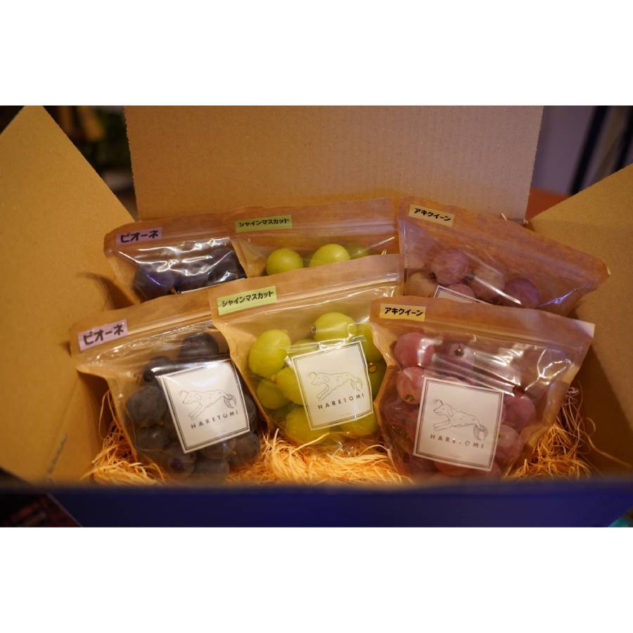＜HARETOMI＞「ぶどう3種」粒パック（ピオーネ・シャインマスカット・安芸クイーン）各180g×2（計1080g）