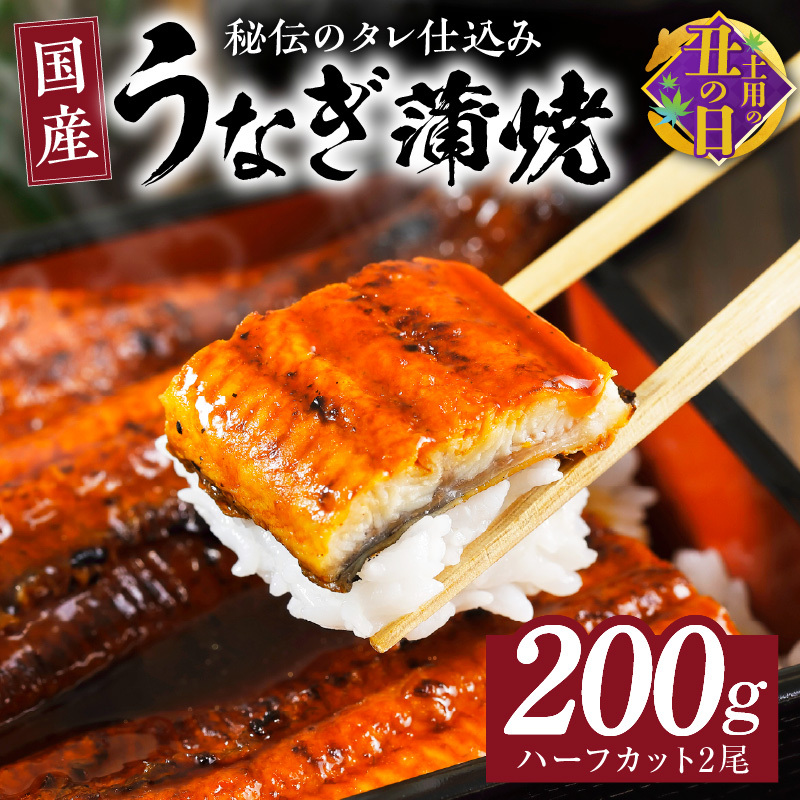 【土用の丑の日までにお届け】国産うなぎ ハーフカット 合計200g【特製タレ付 蒲焼 訳あり 鰻 ウナギ 無頭 炭火焼き 備長炭 手焼き レンジ 温めるだけ 簡単調理】 kgp0037-1d