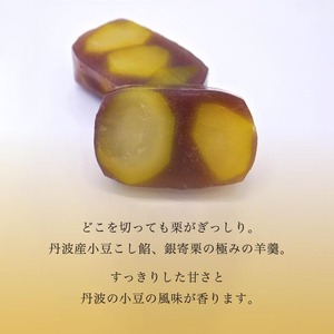 【10月～4月発送】贅沢 栗ようかん 1本 京都 羊羹 栗ようかん
