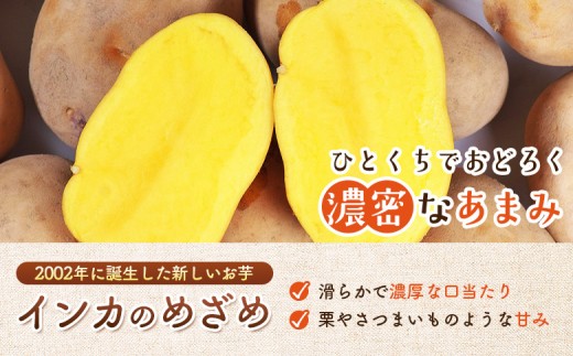《！数量限定！》【新じゃが】インカのめざめ 混合サイズ 5kg