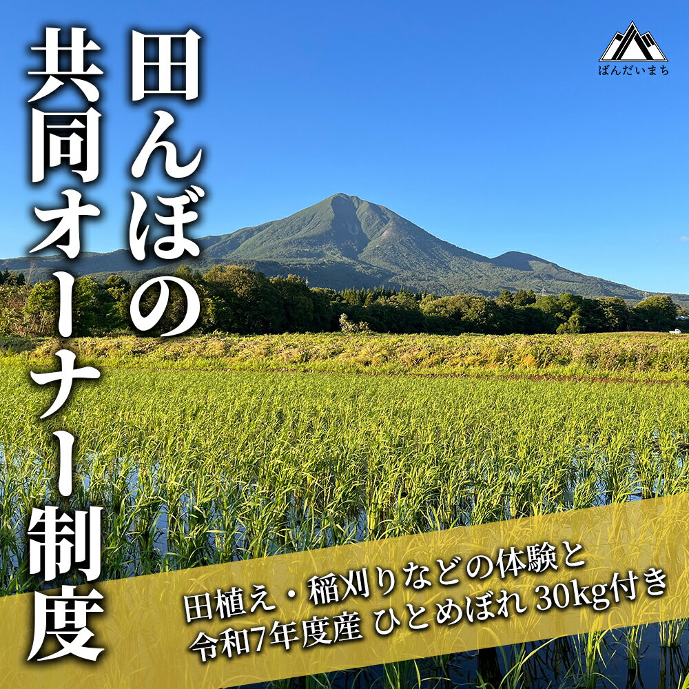 【ふるさと納税】田んぼの共同オーナー制度　田植え体験　稲刈り体験　ひとめぼれ30kg付き