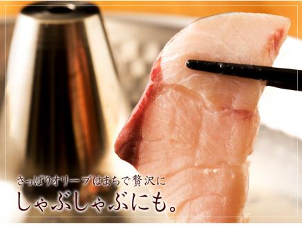 オリーブハマチ１本まるごと（半身カット）【予約受付：令和8年10月中旬頃から出荷開始！】【C-312】