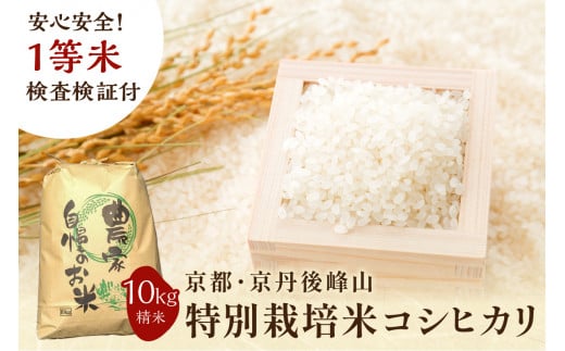 2025年産 京都・京丹後峰山 特別栽培米コシヒカリ 10kg 【白米】 1等米 検査済証付　MF00048
