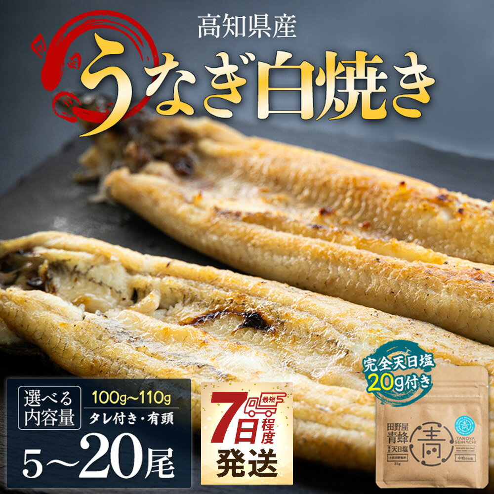 【ふるさと納税】【7日程度で発送】【選べる内容量】高知県産 うなぎ 白焼き(100～110g) 田野町完全天日塩 20g付き （選べる：5尾/10尾/20尾） - スピード発送 鰻 ウナギ 有頭 つまみ 蒲焼きのたれ タレ付き ご飯のお供 黒箱 老舗 国産 吉川水産 高知県 香南市【冷凍】