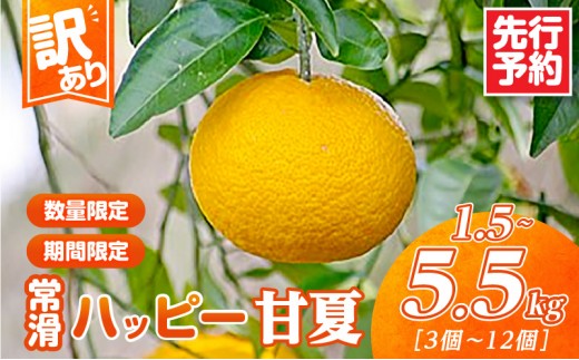 
                  【先行予約】【訳あり】常滑ハッピー甘夏【選べる容量】1.5kg～5.5kg｜常滑ハッピー甘夏 果物 みかん フルーツ ミカン 甘夏 訳あり 数量限定 愛知県 常滑市 知多半島
                