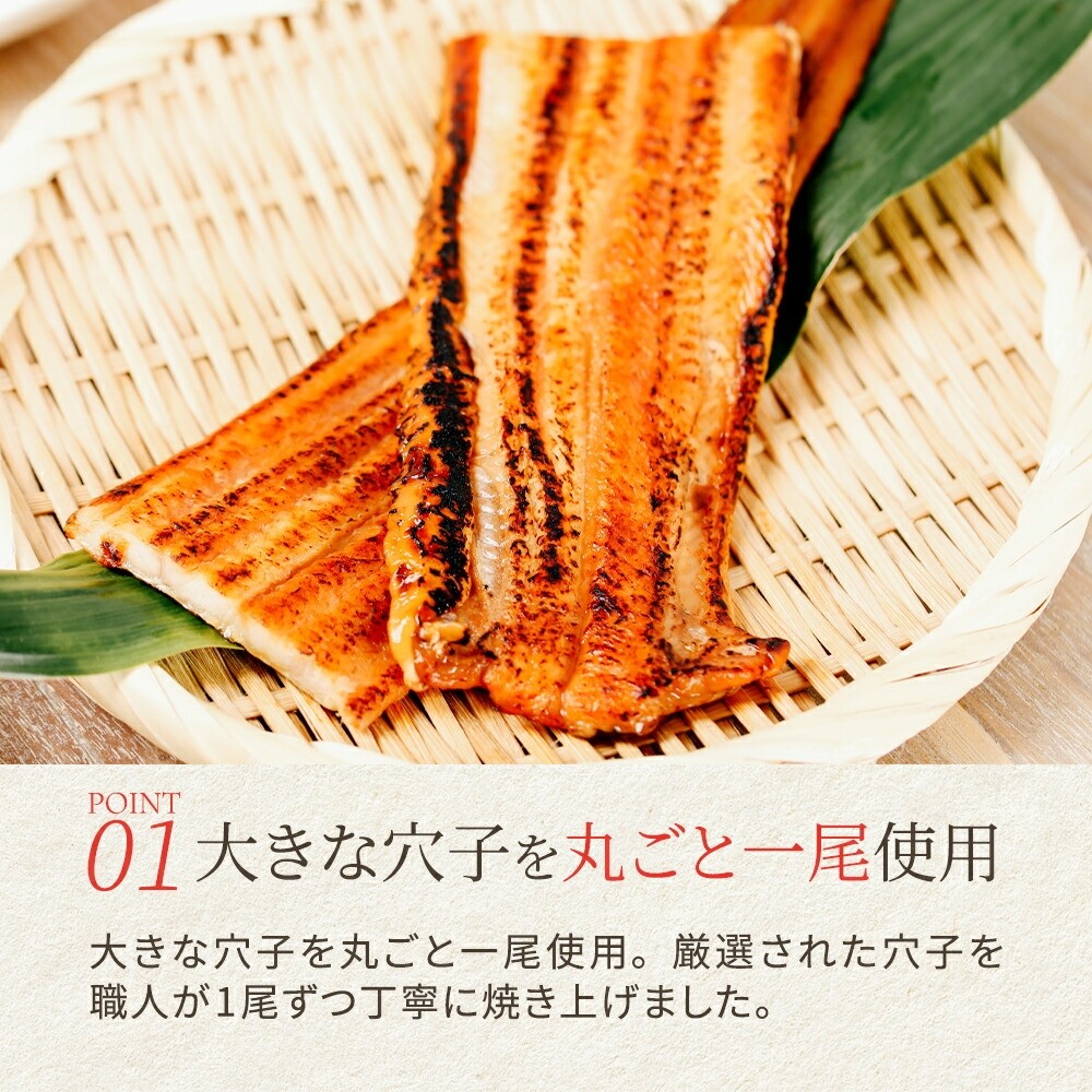 ごちそう穴子めし【2合セット】+出汁茶漬け付 選べる 通常梱包 or 風呂敷包 | AN010