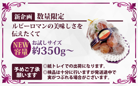 【先行予約 2026年収穫分】ルビーロマン 1房 約350g（お試しサイズ）【2026年8月中旬より順次発送】｜ ぶどう 