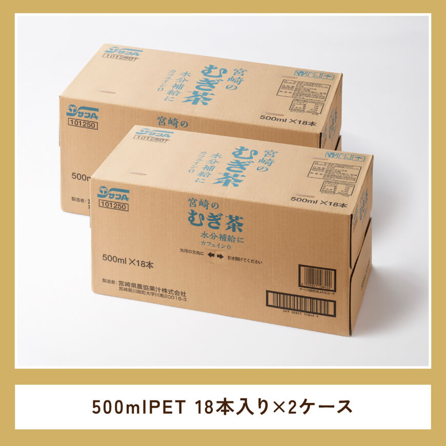 サンA 宮崎のむぎ茶 500ml PET 18本入り×2ケース 【 お茶 麦茶 宮崎県産 ペットボトル  宮崎県農協果汁】