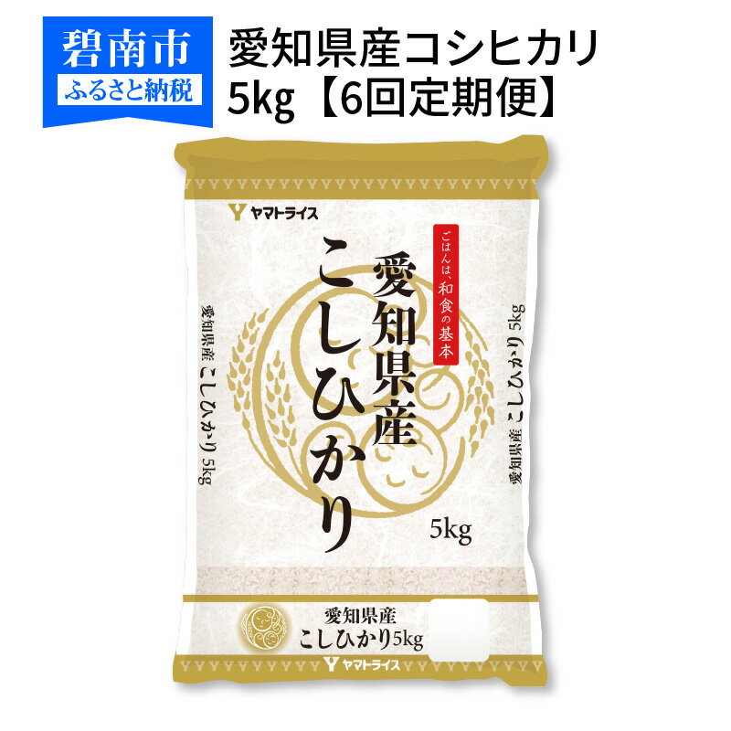 【ふるさと納税】愛知県産コシヒカリ 5kg ※定期便6回 米 お米 ご飯 ごはん 白米 精米 国産 愛知県産 コシヒカリ 安心安全なヤマトライス