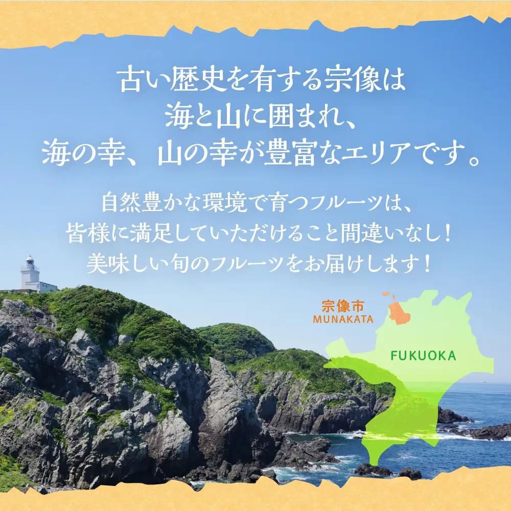 【定期便/年４回】フルーツ 旬の福岡フルーツ定期便_HB0087