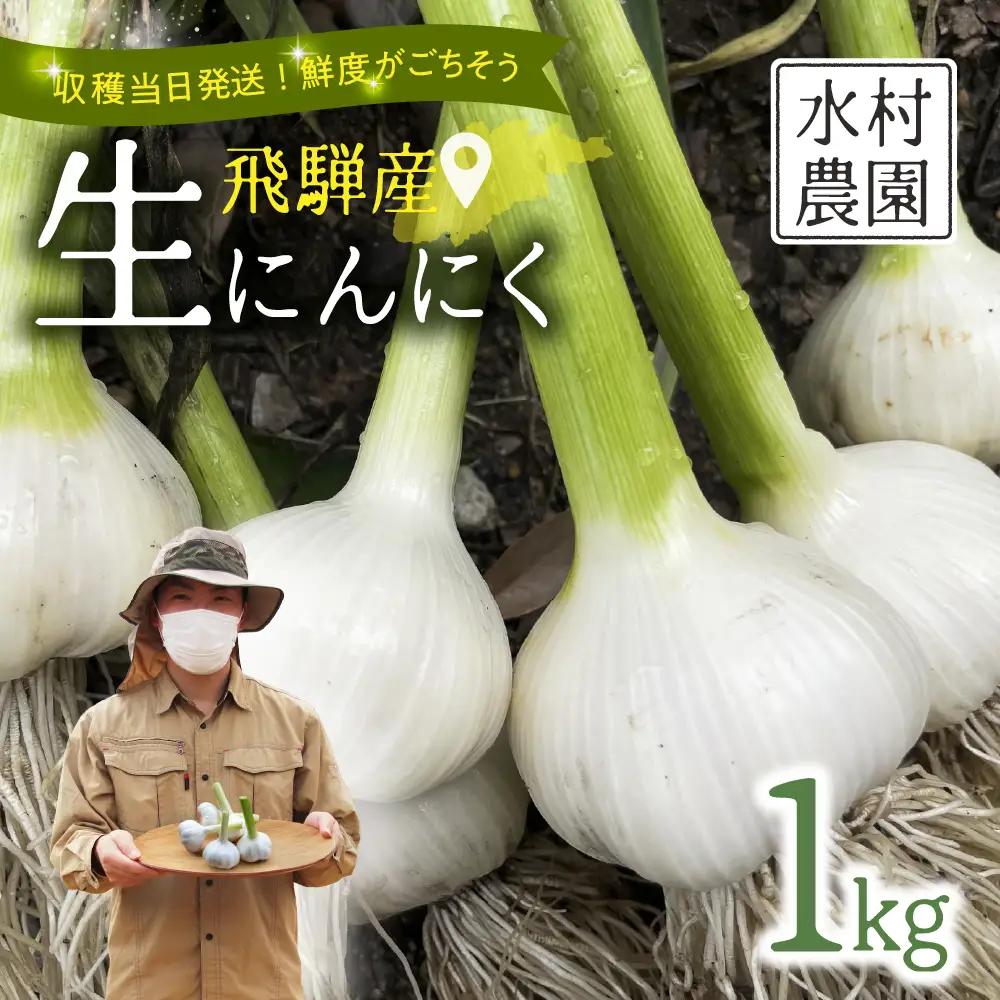 生 にんにく 1kg  飛騨 水村農園 