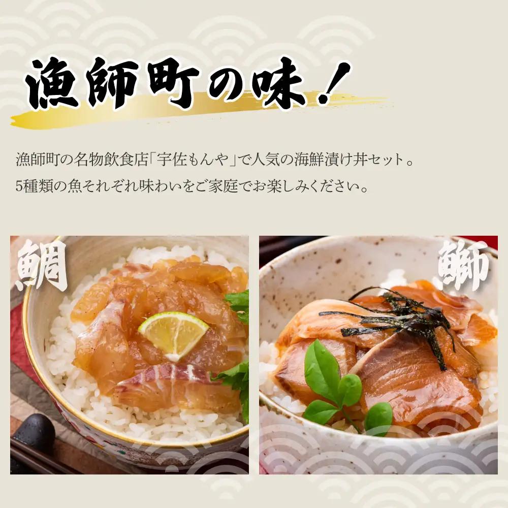 【訳あり】【全3回定期便】土佐の海鮮漬け丼 5種×各2Pセット 高知県土佐市 【企業組合　宇佐もん工房】 [BQAB014]