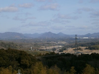 C-44 【定期便】 芳醇、吟香る山田錦入りビール「吟米麦酒」5本セット「3回お届け」【北海道・沖縄・離島　配送不可】