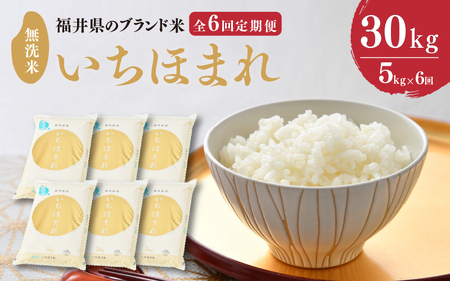 【令和6年産・新米】定期便 ≪6ヶ月連続お届け≫ 福井県のブランド米 いちほまれ 無洗米 5kg × 6回 計30kg 【 無洗米 人気 品種 ブランド米 特A 】 [J-6102]