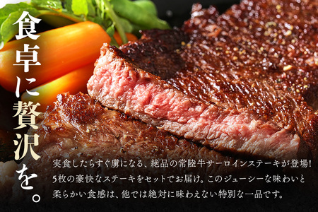 茨城県産銘柄黒毛和牛 常陸牛 サーロインステーキ 330g×5枚 計1.65kg 国産 和牛 牛 牛肉 ブランド牛 A4 肉厚 ジューシー 冷凍 贈答用 ギフト ステーキ用 赤身 霜降り 茨城県 潮来
