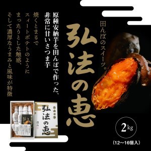 【ふるさと納税】弘法の恵【香川県産サツマイモ 計2kg】