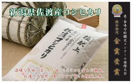 【新米・先行予約】15kg 新潟県佐渡産コシヒカリ15kg(5kg×3)×3回「3カ月定期便」