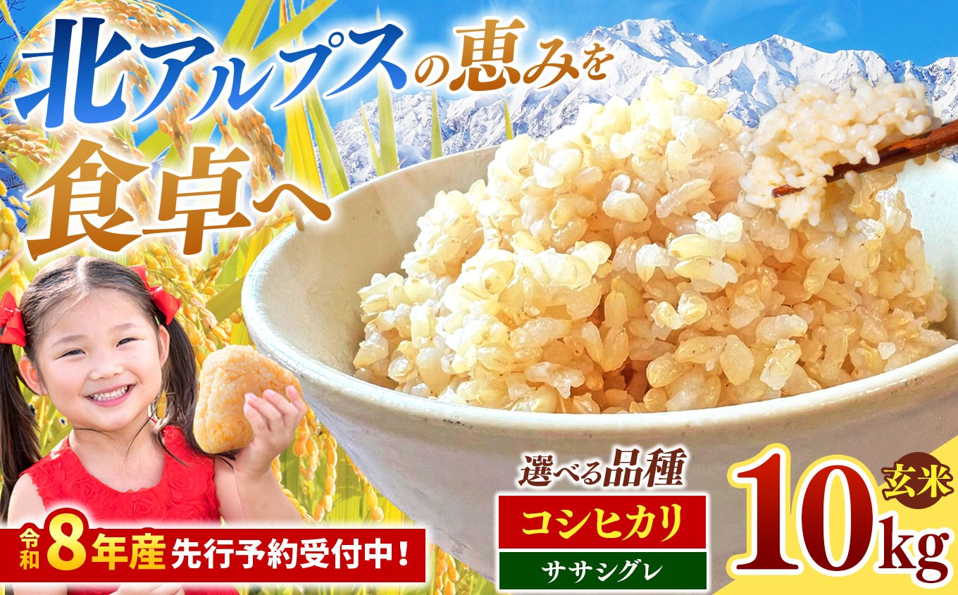 
                  玄米 約10kg 選べる品種（ コシヒカリ / ササシグレ ）・ 選べる収穫年度 （ 令和7年産 / 令和8年産 ） | 米 こめ コメ お米 玄米 コシヒカリ ササシグレ 長野県 松川村 信州
                