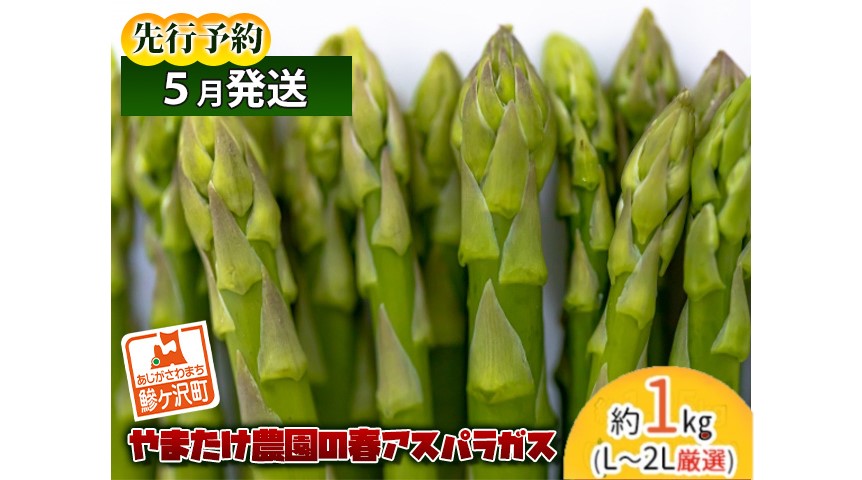 アスパラガス 先行予約 春アスパラガス 約1kg L～2L 厳選 やまたけ農園 アスパラ グリーンアスパラ 野菜 春野菜 春 旬 旬の野菜 朝どれ 産地直送 2026年 2026 先行 予約 青森 冷蔵 冷蔵配送 5月6月発送
