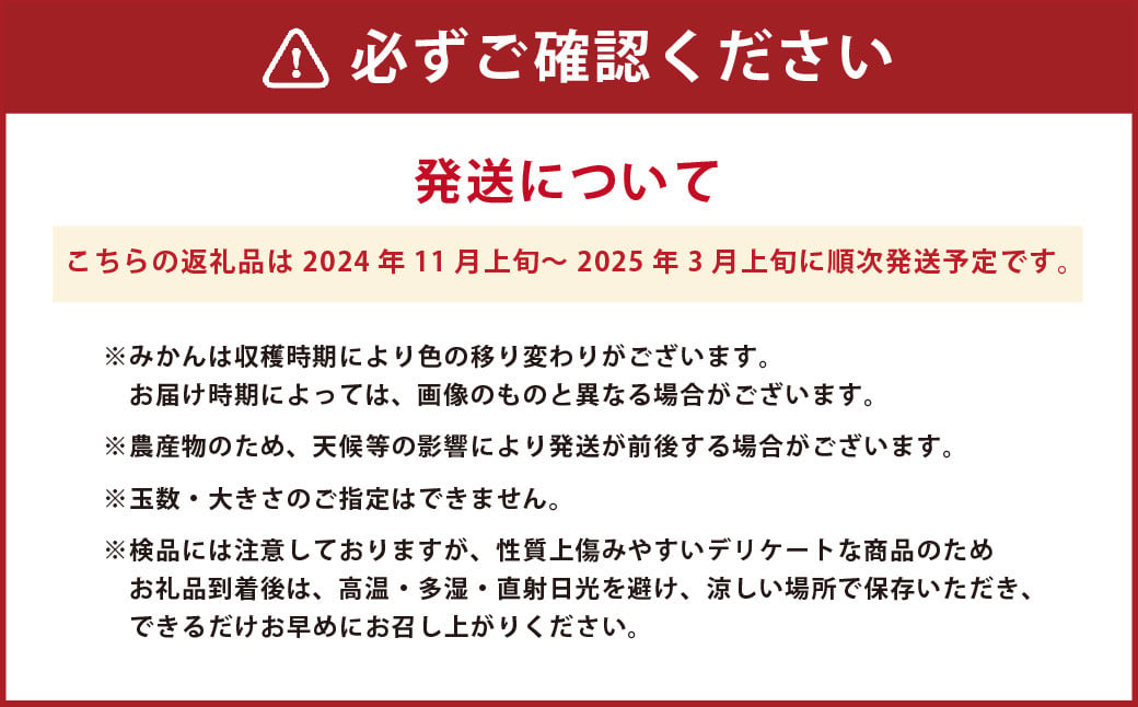 【2024年11月上旬-2025年3月上旬発送予定】熊本市産 温州みかん 約10kg