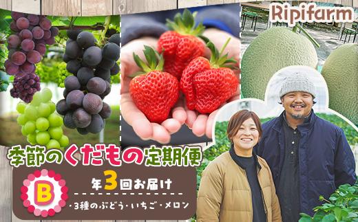 
Ripifarm　季節のくだもの定期便B（ぶどう・メロン・いちご）
