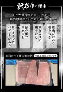 訳あり 天然 南鮪 赤身 約600g 訳あり OR FN-SupportProject OR 増量 OR 年末企画 訳あり (a10-858)