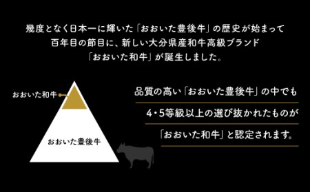 ステーキ おおいた和牛ロースステーキ1枚(180g)