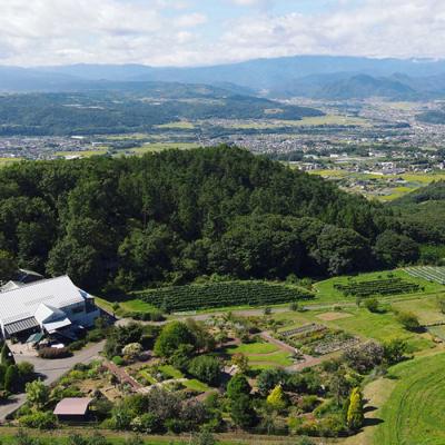 ふるさと納税 東御市 【ヴィラデストワイナリー】ベジタブルシリーズ食器　シリアルボウル3枚セット |  | 03