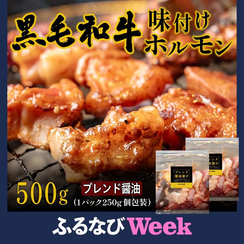 【ふるなびWEEK対象】〈スピード出荷〉黒毛和牛ホルモン（しょうゆ 小分け 500g）ホルモン MSK023
