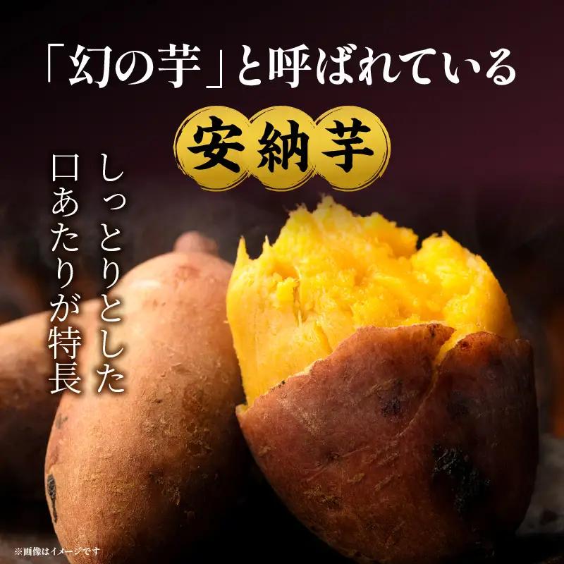 安納石焼芋　10袋セット 石焼芋 さつまいも デザート